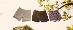 Our selected swim shorts