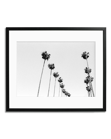  |  Framed LA Palms
