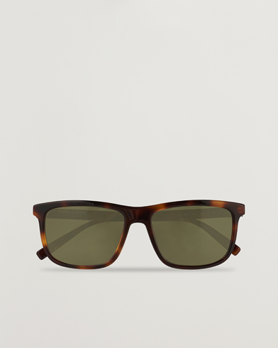 Men | Saint Laurent | Saint Laurent | SL 501 Sunglasses Havana/Green