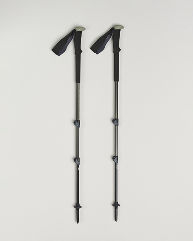 Black Diamond Trail Trekking Poles Pine Smoke – Grey
