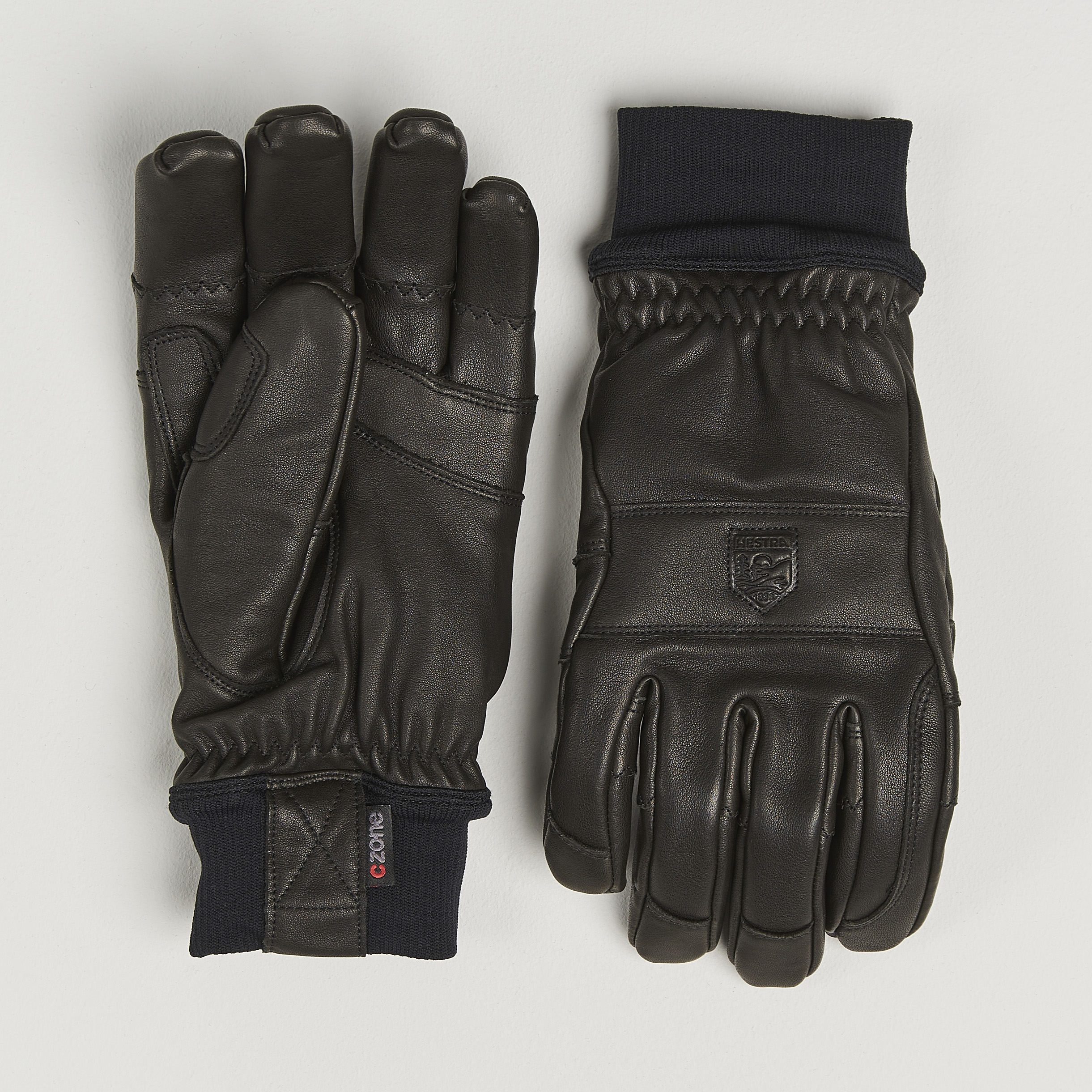 Hestra Ergo Grip CZone Vernum Glove Black at CareOfCarl.com