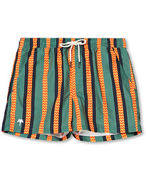 Printed Swimshorts Arrow