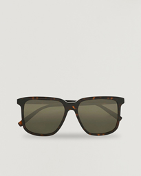  SL 480 Sunglasses Havana Grey