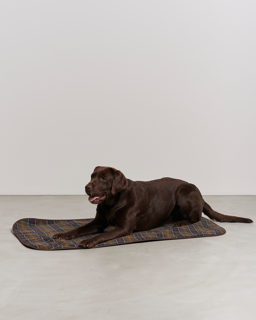 Herr | Till hunden | Barbour Lifestyle | Dog Blanket Classic/Brown
