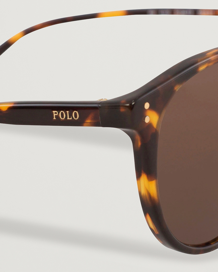 Men | Sunglasses | Polo Ralph Lauren | 0PH4110 Round Sunglasses Havana
