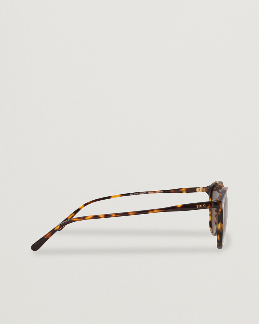 Men | Sunglasses | Polo Ralph Lauren | 0PH4110 Round Sunglasses Havana
