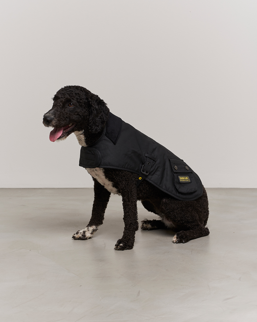 Herr | Livsstil | Barbour International | Dog Coat Black