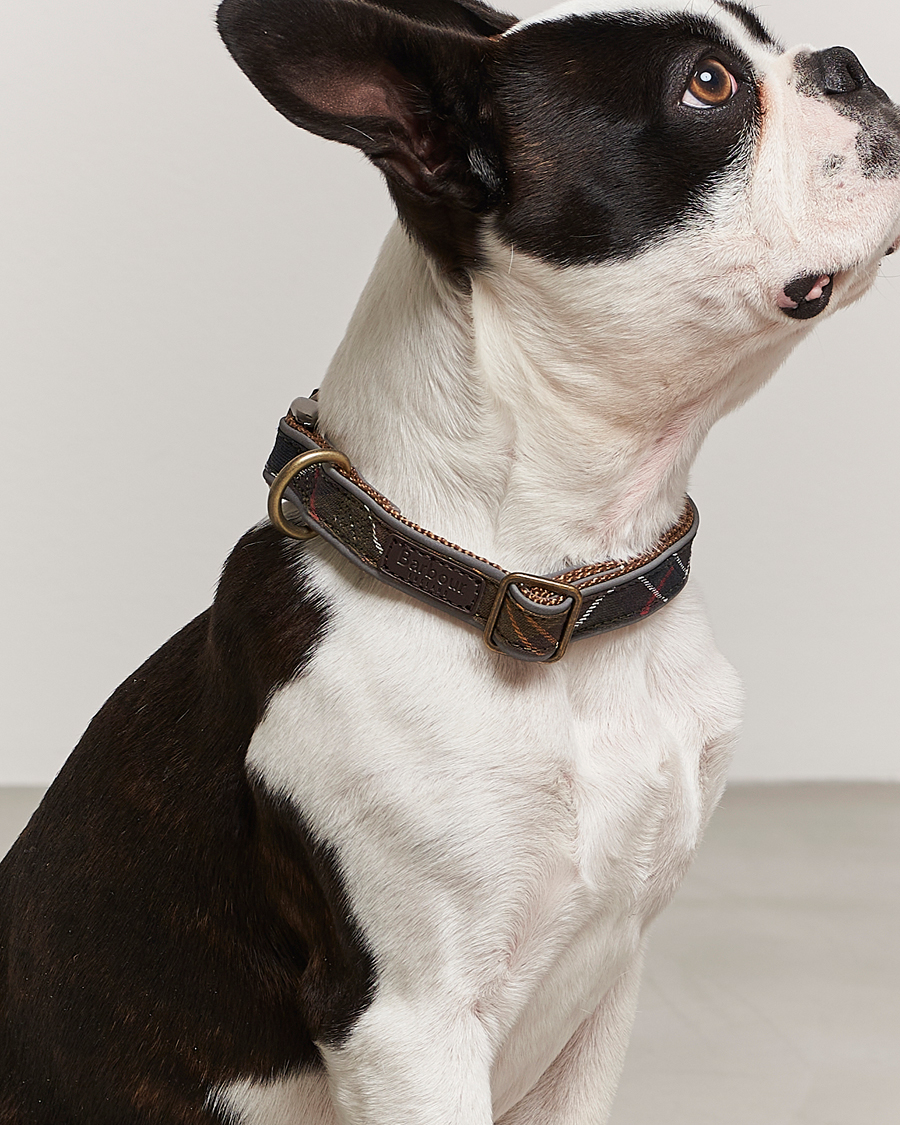 Herr | Barbour International | Barbour International | Reflective Tartan Dog Collar Classic
