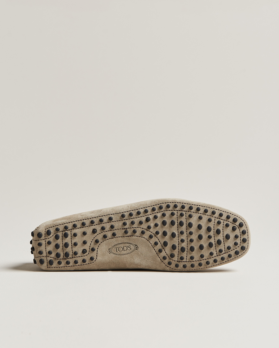Men | Tod's Lacetto Gommino Carshoe Taupe Suede | Tod's | Lacetto Gommino Carshoe Taupe Suede