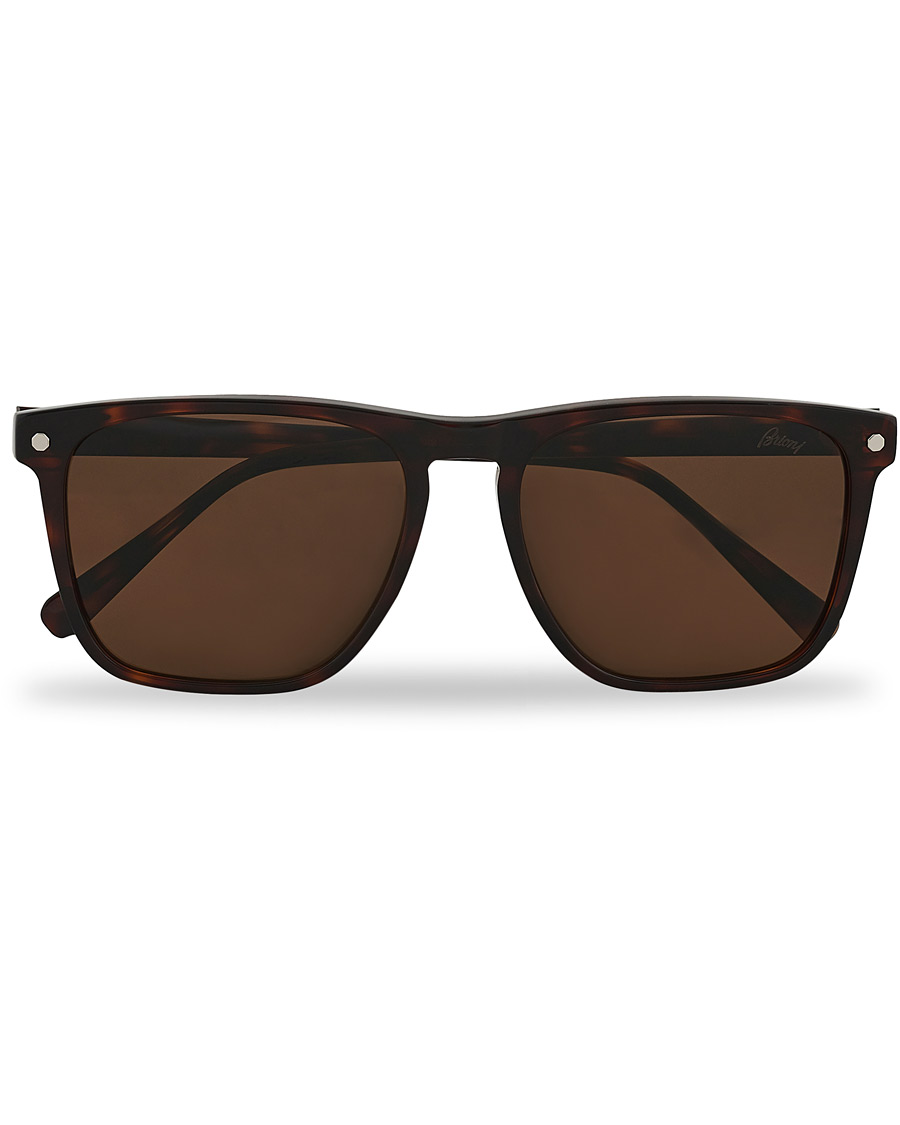 Men | D-frame Sunglasses | Brioni | BR0086S Sunglasses Havana/Brown