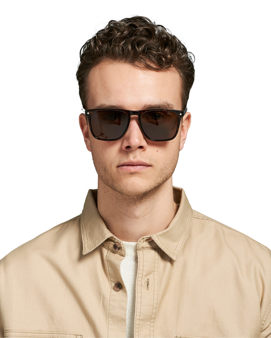 Men | Sunglasses | Brioni | BR0086S Sunglasses Havana/Brown