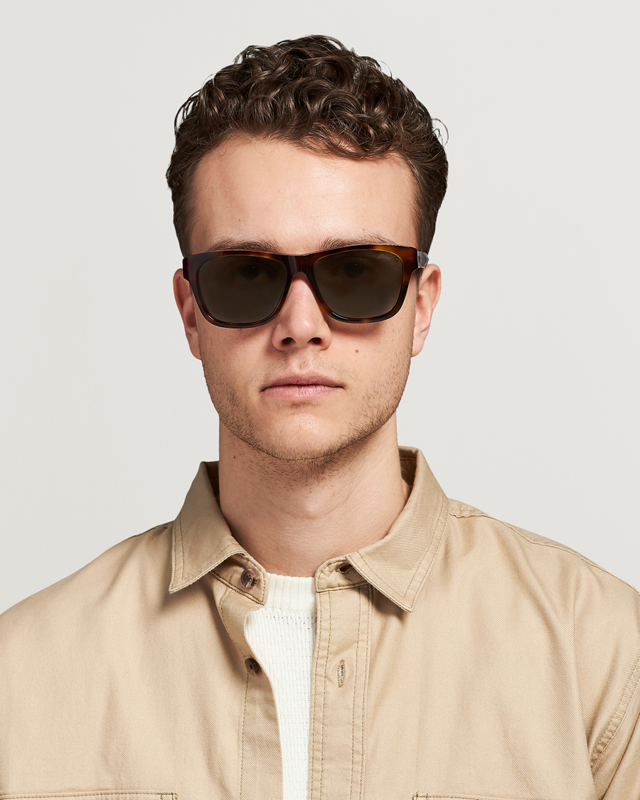 Men |  | Brioni | BR0081S Sunglasses Havana/Green
