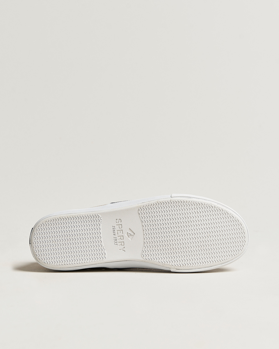 Men | Sperry Striper II Canvas Sneaker Beige | Sperry | Striper II Canvas Sneaker Beige