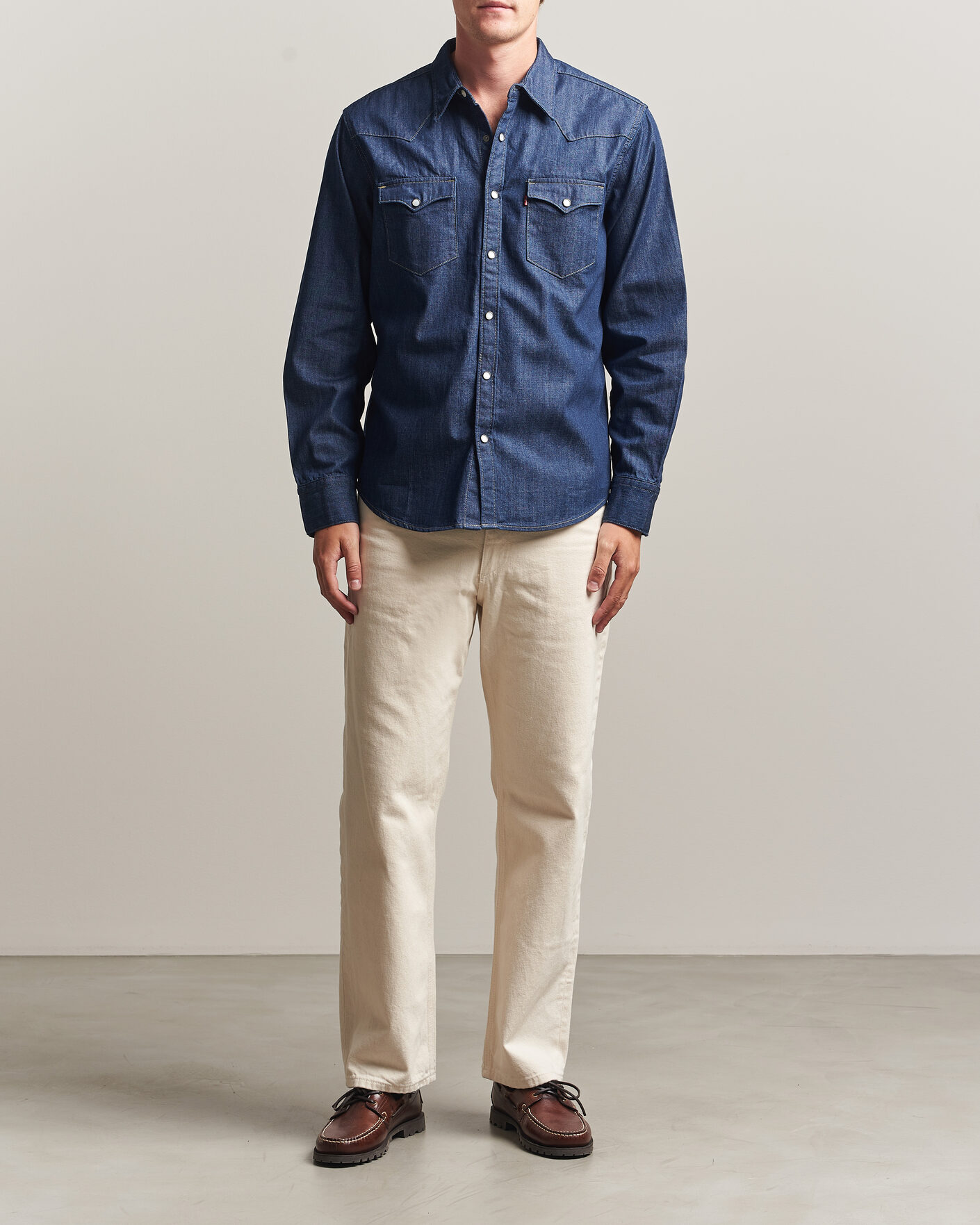Men | Shirts | Levi's | Barstow Western Standard Shirt Rinse Marbled