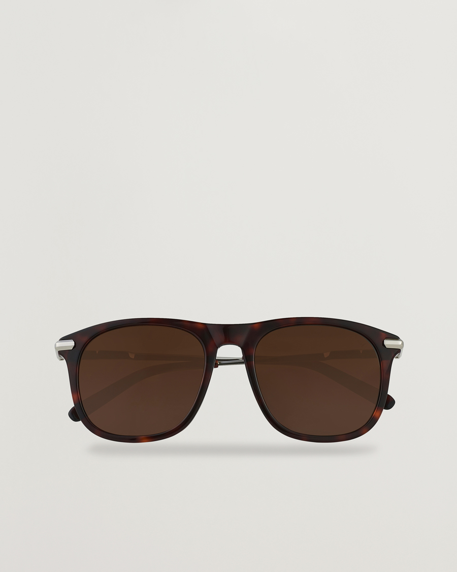 Men | Aviator Sunglasses | Brioni | BR0094S Sunglasses Havana Brown
