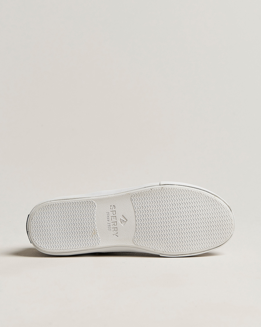 Men | Sperry Striper II Canvas Sneaker Whased Black | Sperry | Striper II Canvas Sneaker Whased Black