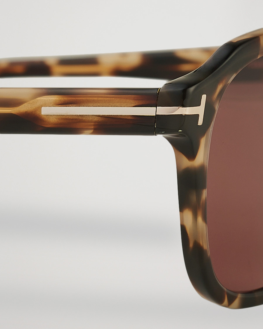 Men | Sunglasses | Tom Ford | Avery Sunglasses Havana/Bordeaux