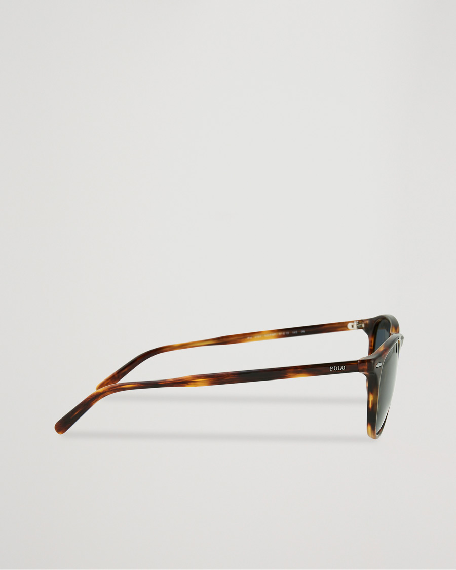 Men | Sunglasses | Polo Ralph Lauren | 0PH4181 Sunglasses Havana
