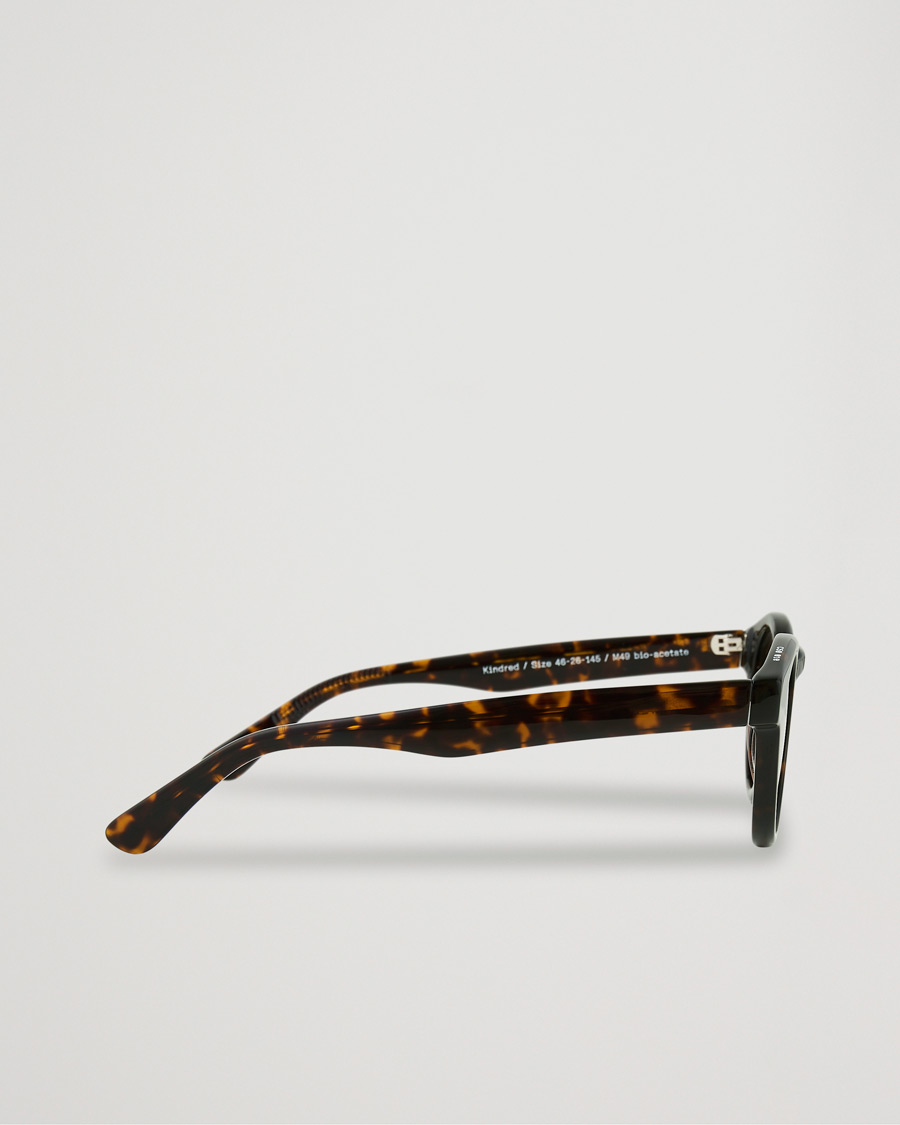 Men | James Ay Kindred Sunglasses Classical Havana | James Ay | Kindred Sunglasses Classical Havana