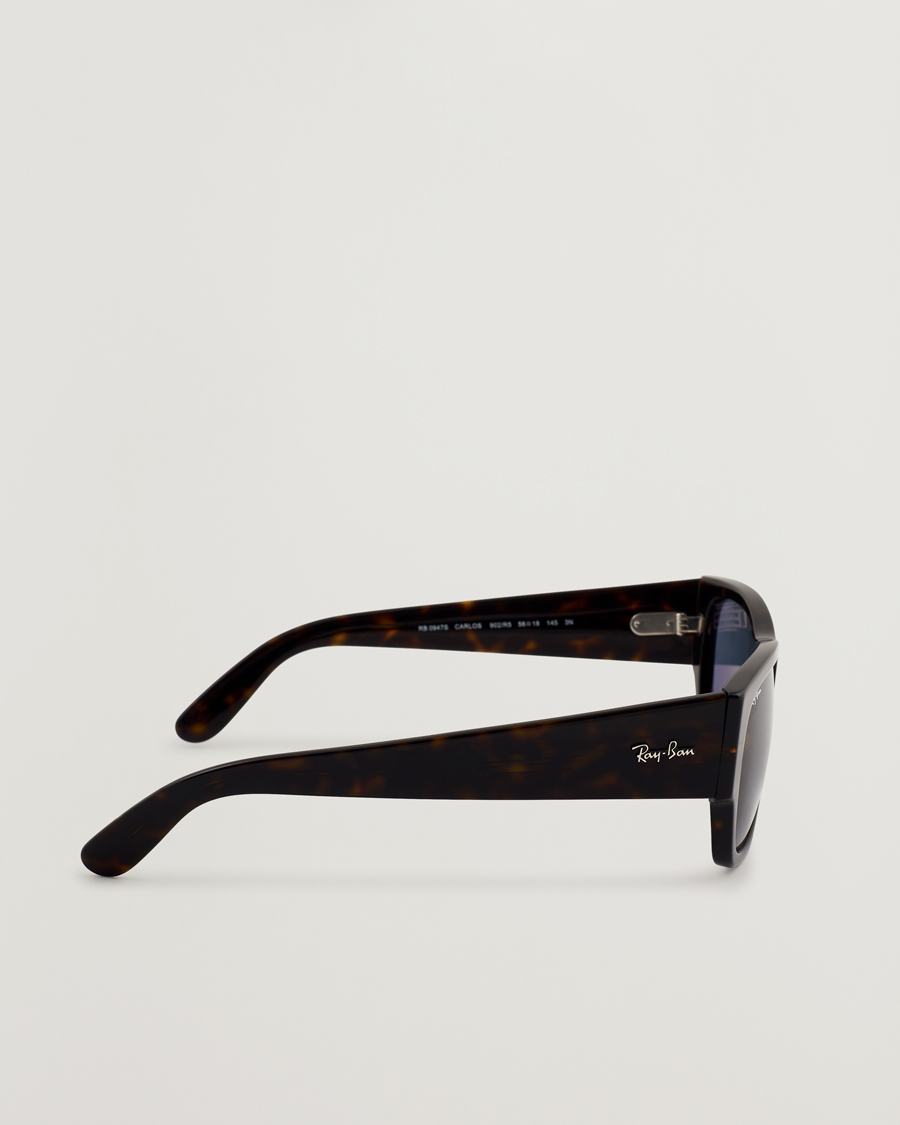 Men | Sunglasses | Ray-Ban | Carlos Sunglasses Havana