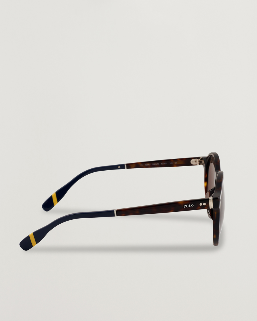 Men | Sunglasses | Polo Ralph Lauren | 0PH4204U Sunglasses Dark Havana
