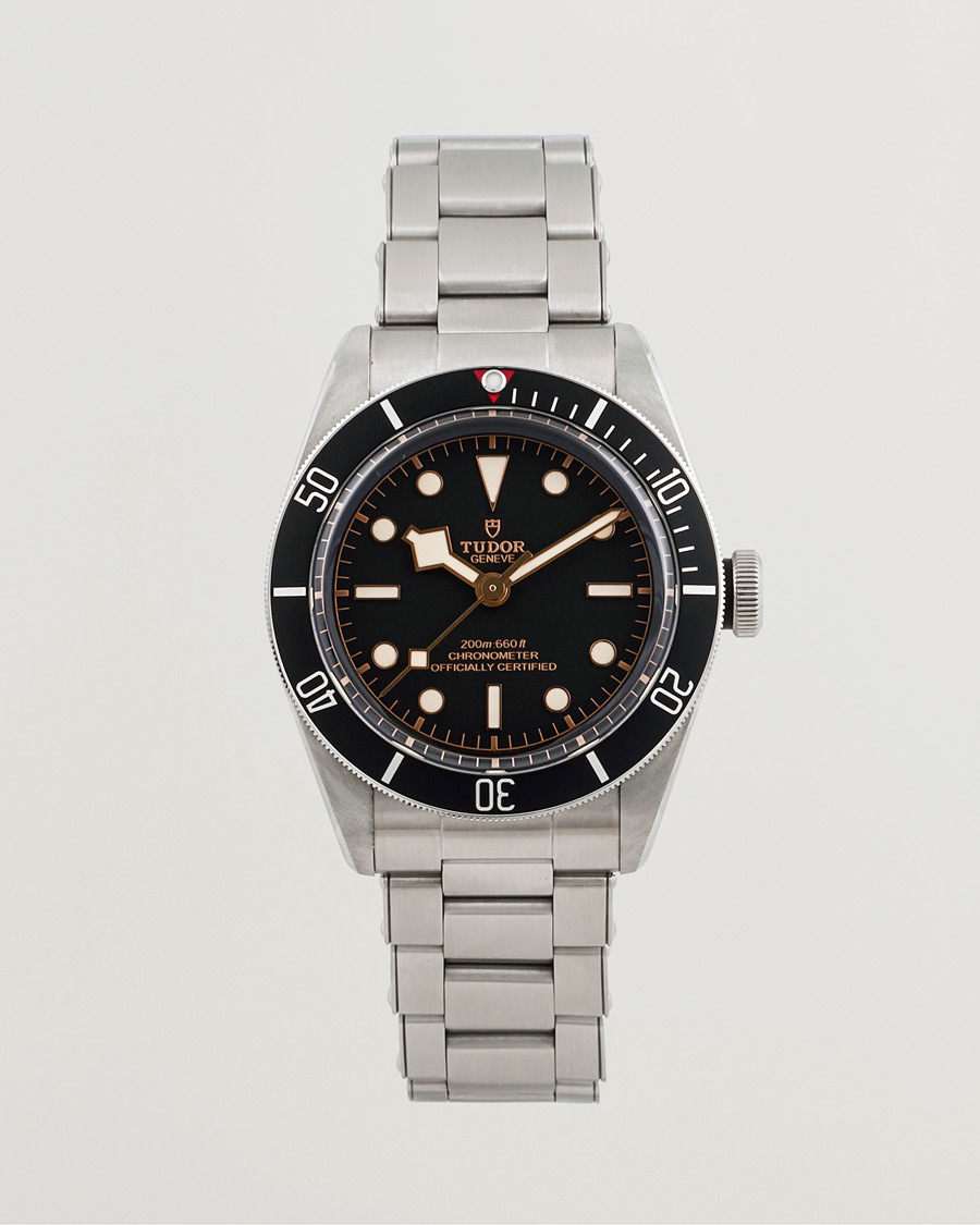 Tudor Pre-Owned Black Bay 79230N Silver at