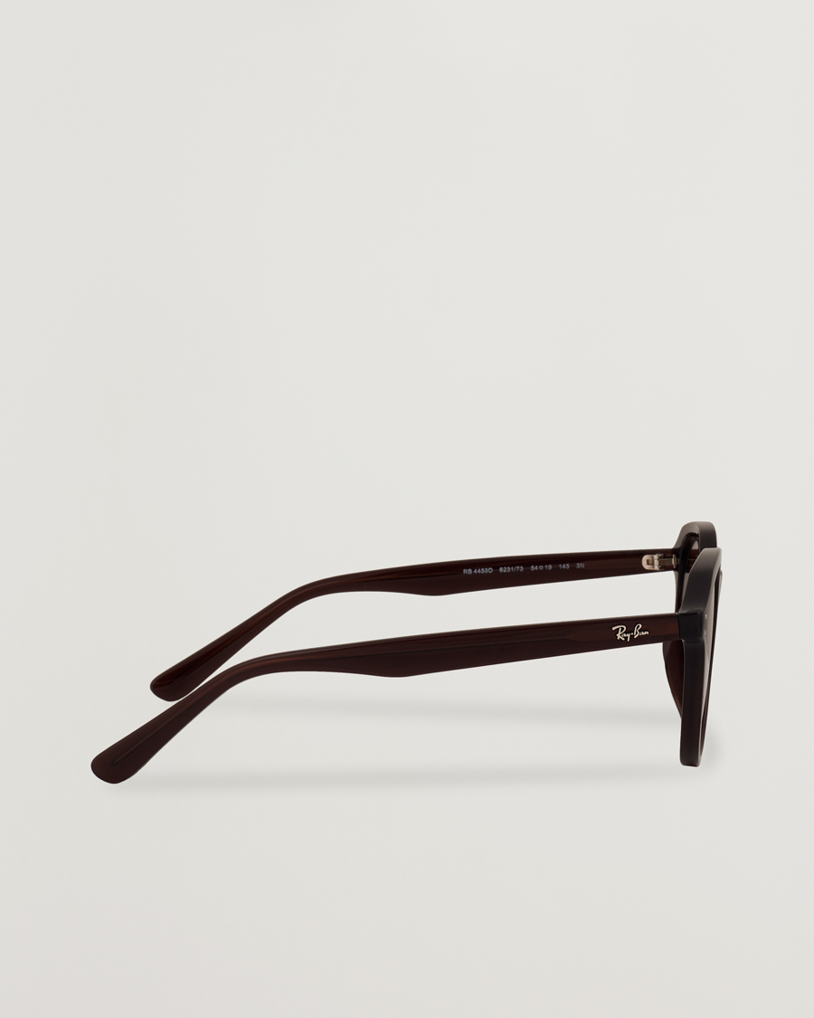 Men | Sunglasses | Ray-Ban | 0RB4459D Sunglasses Opal Brown