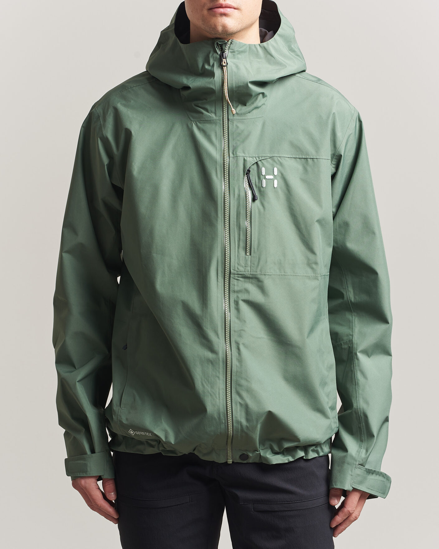 Haglöfs Alert Gore-Tex Jacket Chlorophyll Green at CareOfCarl.com