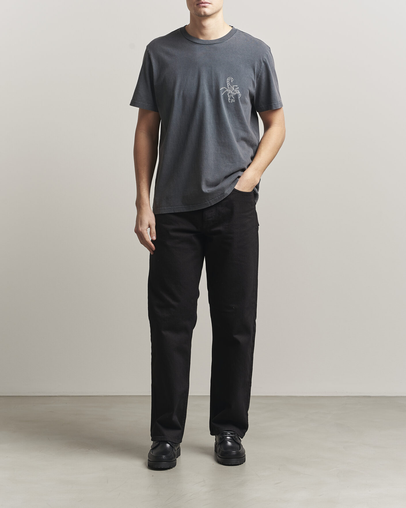 Men | T-Shirts | Nudie Jeans | Roy Printed T-Shirt Antracite