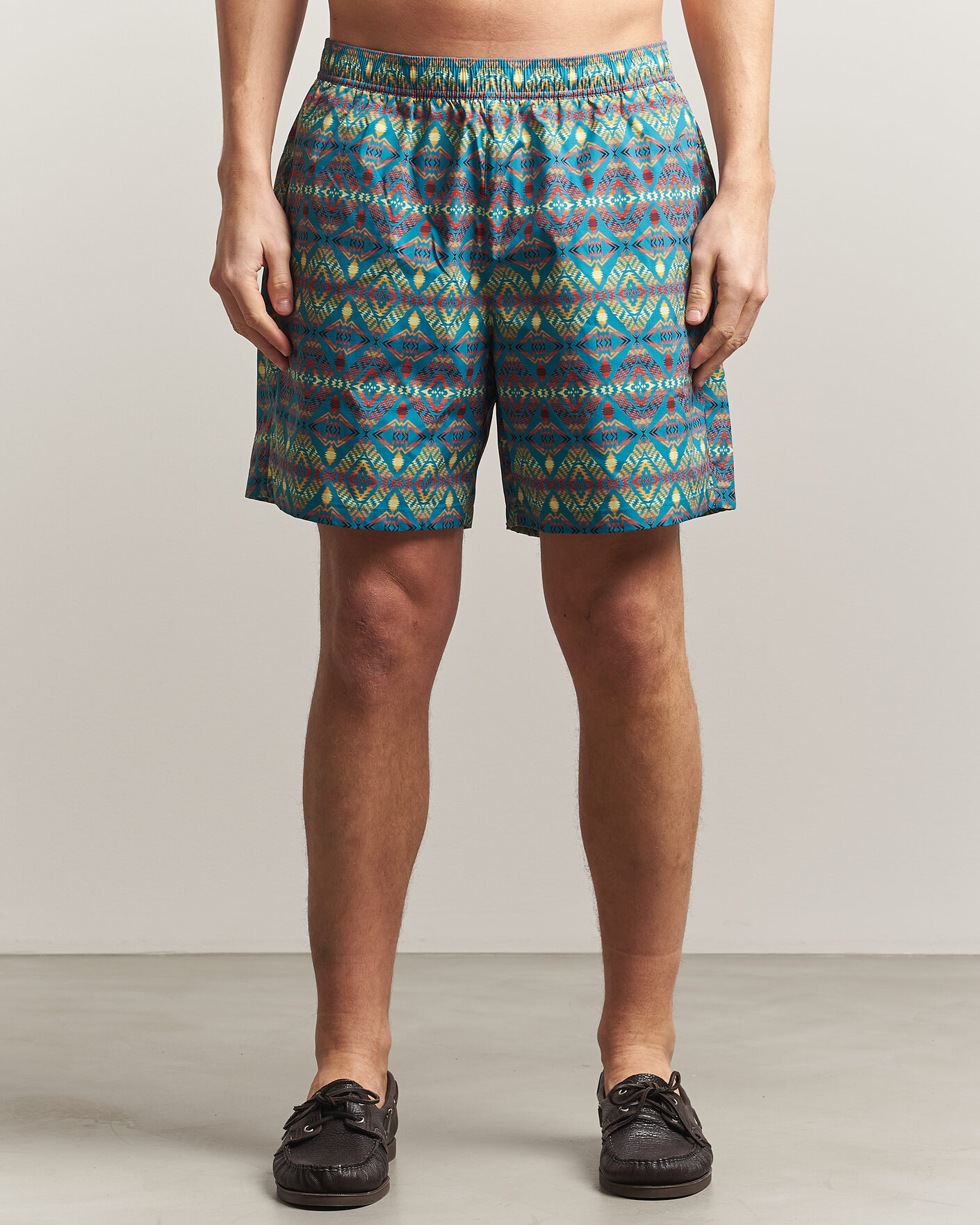 Men | Swimwear | Pendleton | Volley Shorts Thunder Earthquake