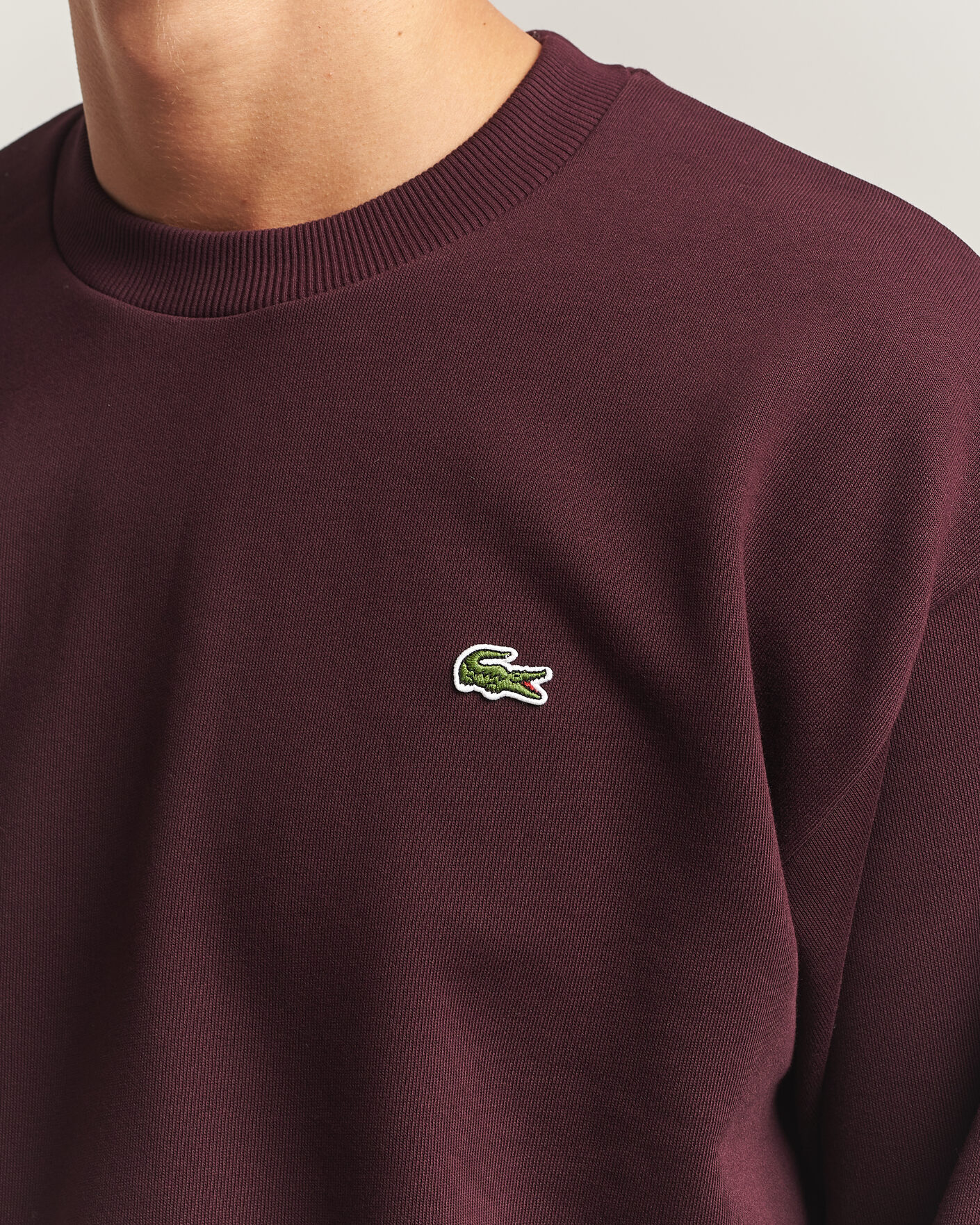 Men | Sweaters & Knitwear | Lacoste | Crew Neck Sweatshirt Oxalis