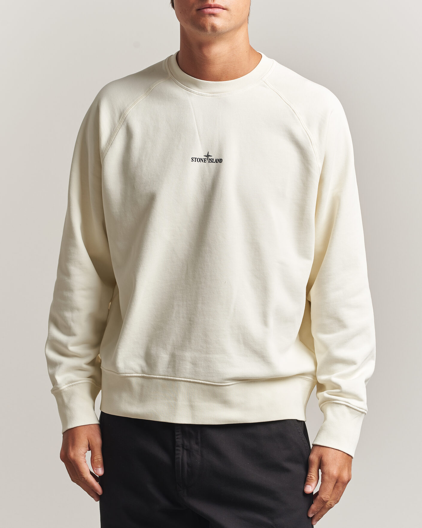 Men | Sweaters & Knitwear | Stone Island | Garment Dyed Fleece Desert Print Sweatshirt Ivory