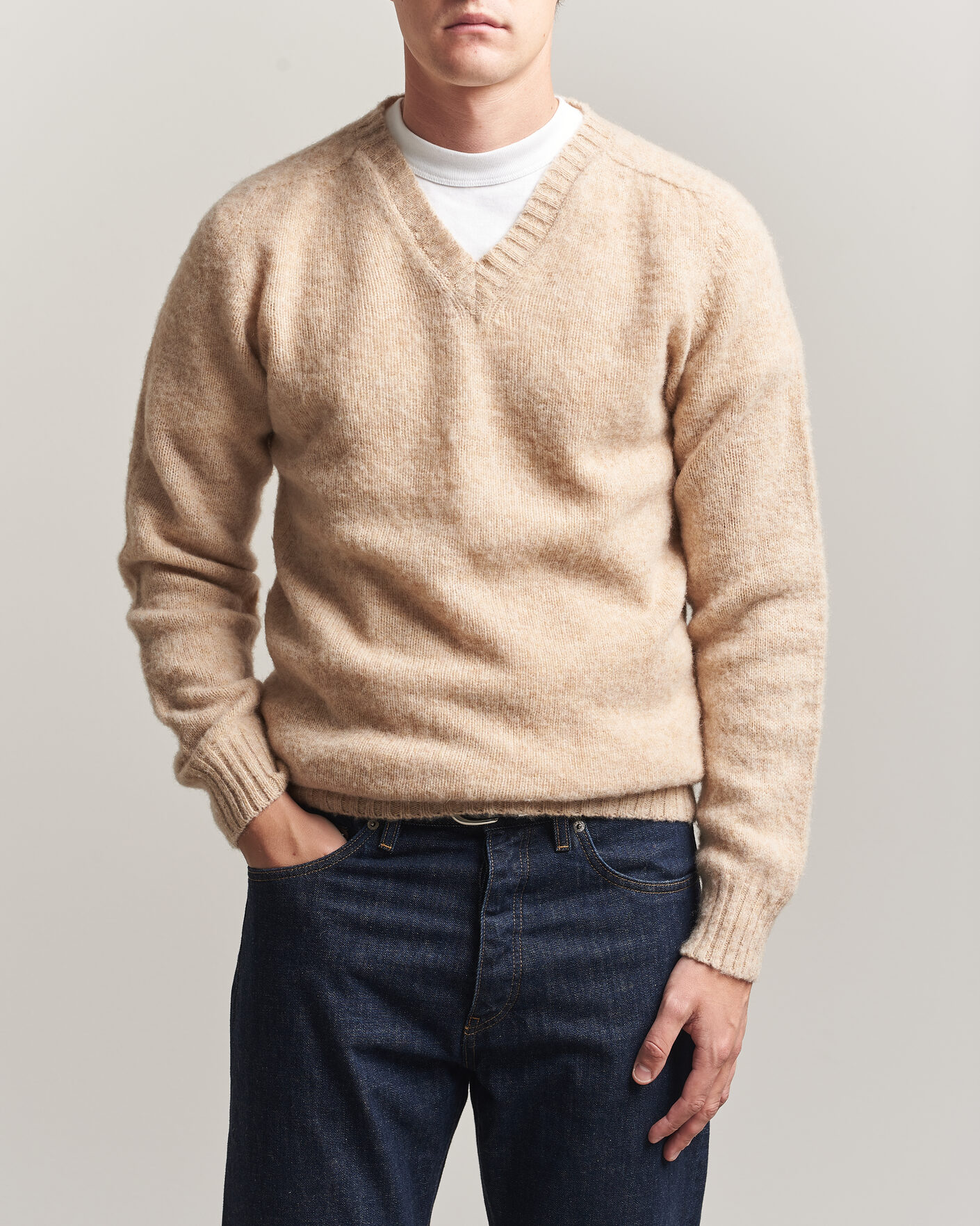 Men | Sweaters & Knitwear | Harley Of Scotland for Care of Carl | Brushed Supersoft Lambswool V-Neck Beige