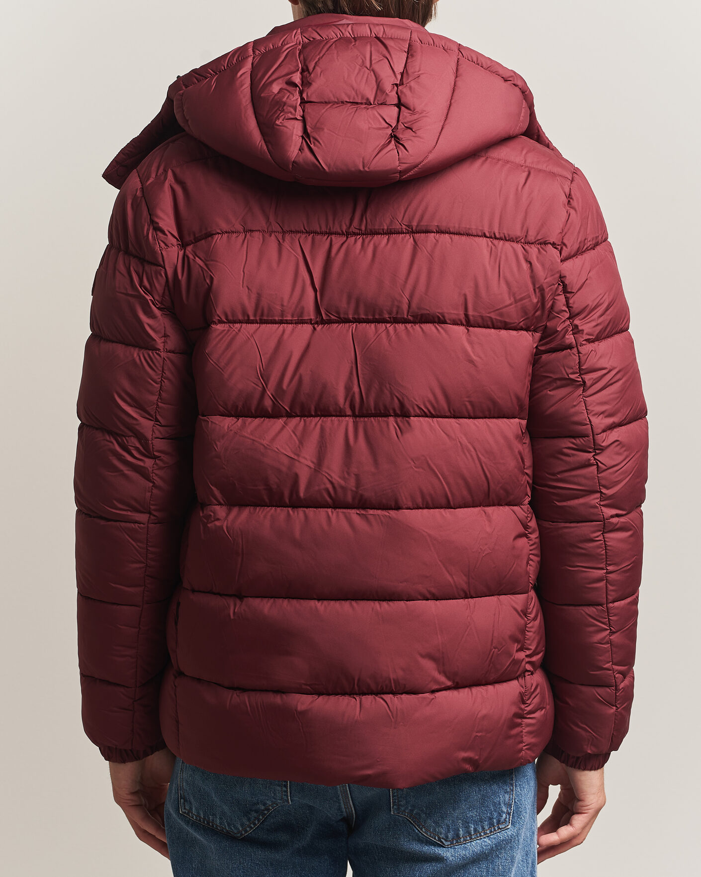 Save The Duck Boris Matt Padded Puffer Wine Red at CareOfCarl.com