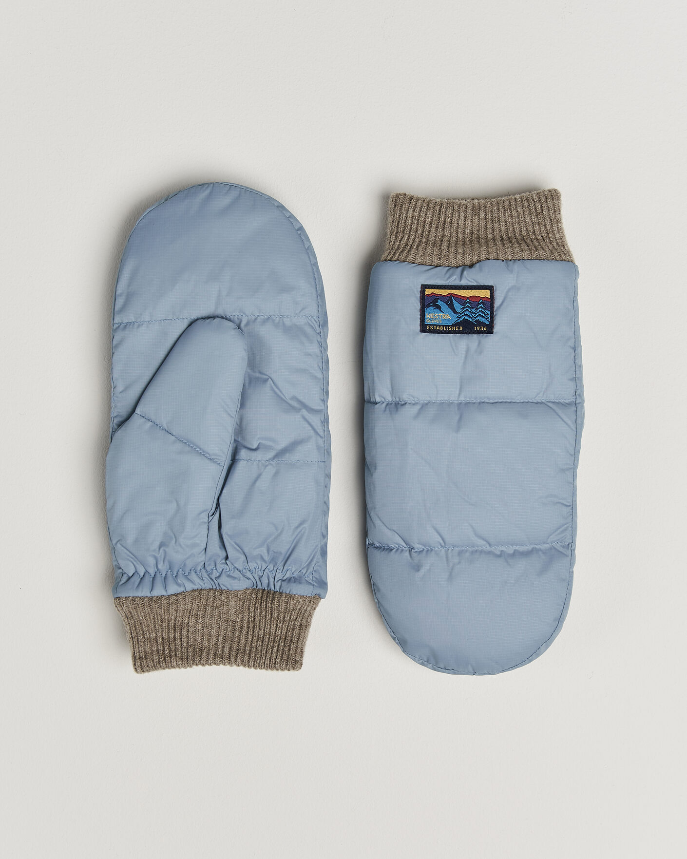 Men | Gloves | Hestra | Otra Wind-/Waterproof Primaloft Glove Silent Sky