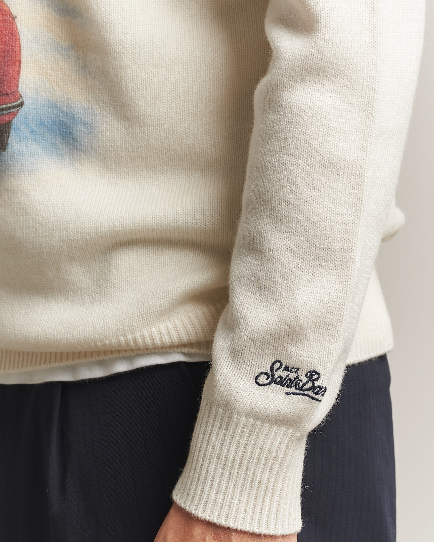 Men | Sweaters & Knitwear | MC2 Saint Barth | Heron Printed Sweater Cortina